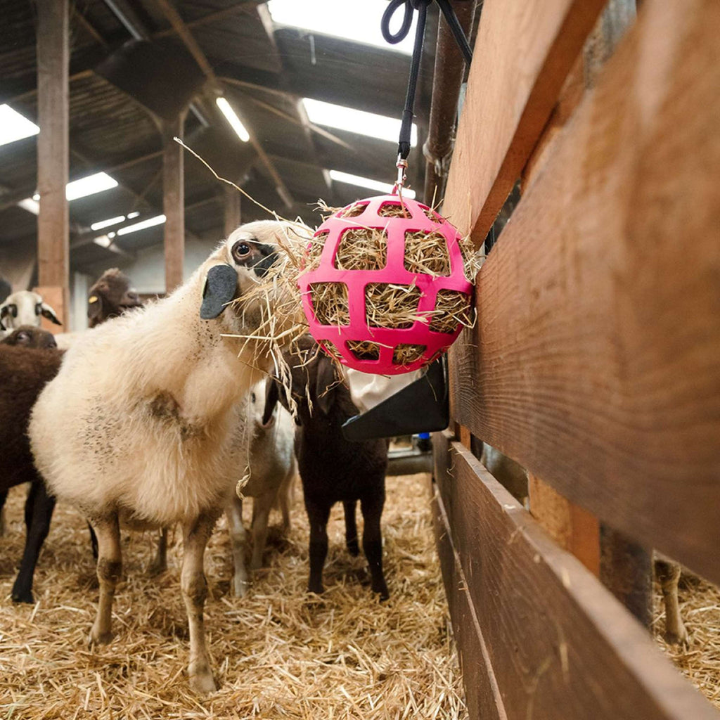 Excellent Hay Slowfeeder Fun and Flex Roze