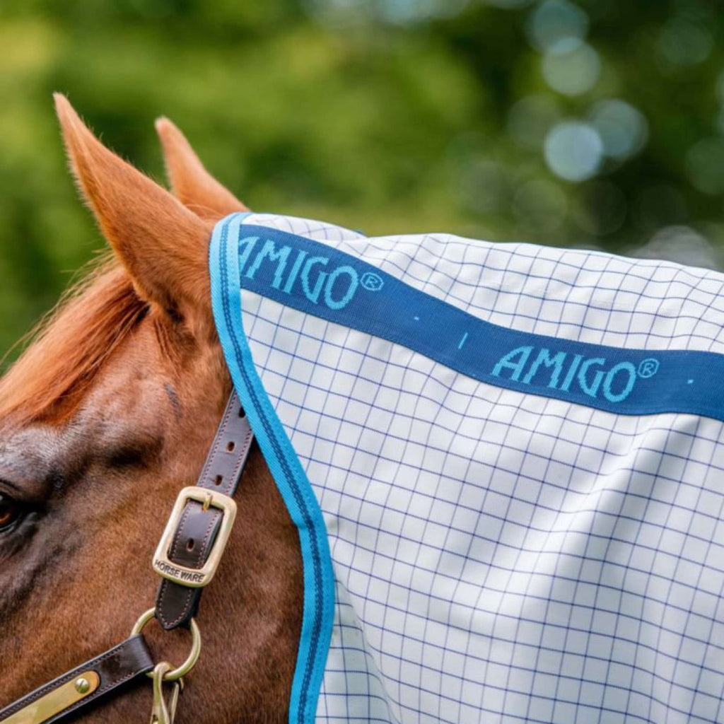 Amigo Aussie Allrounder DF Navy Check/Electric Blue