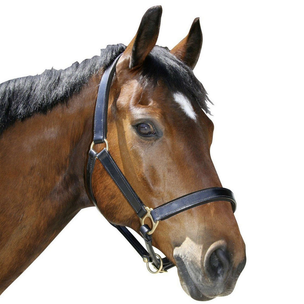 Covalliero Halster Robuust Leder Bruin