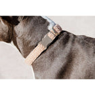 Kentucky Halsband Teddy Fleece Oud roze