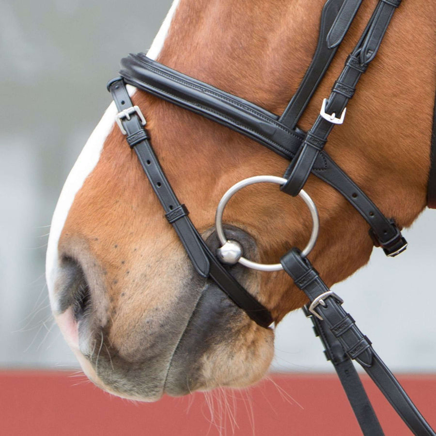 Kieffer Hoofdstel Combi Ultrasoft Zwart