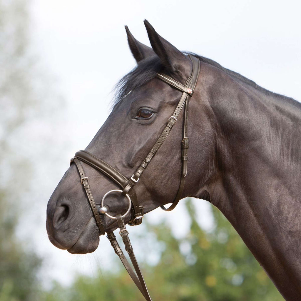 Kieffer Hoofdstel Ultrasoft Bruin