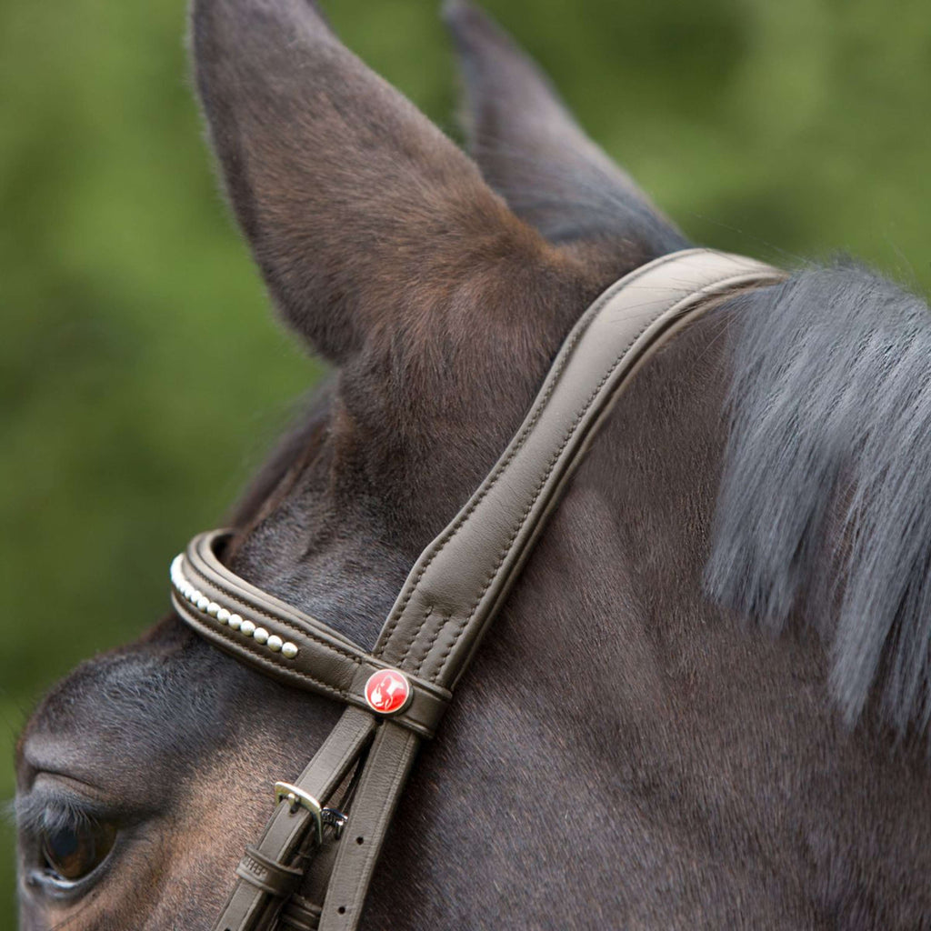 Kieffer Hoofdstel Ultrasoft Bruin