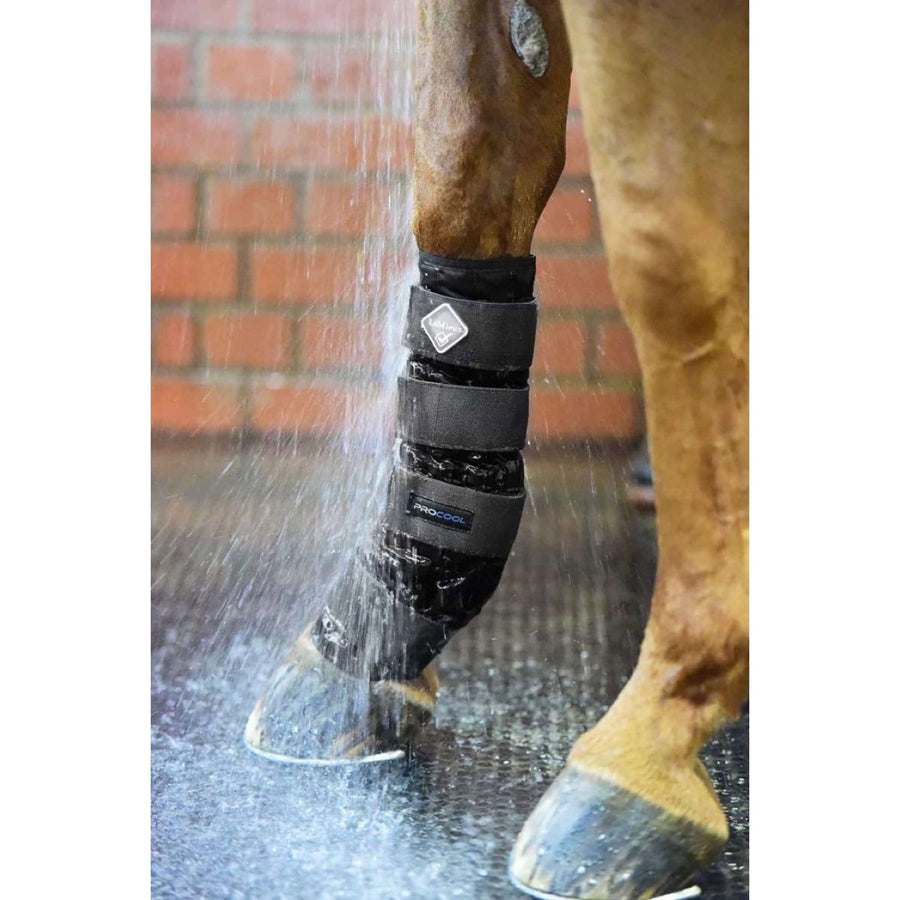 LeMieux Boots Cold Water