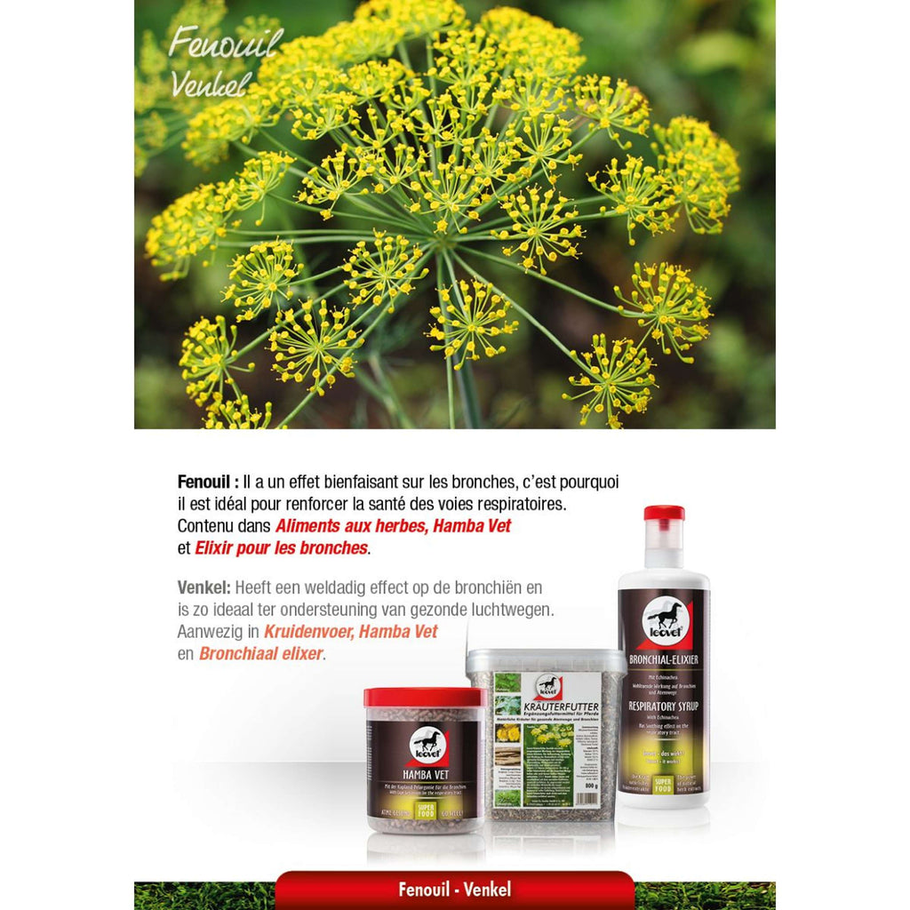 Leovet Bronchiaal elixer