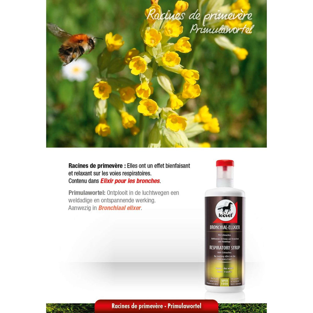 Leovet Bronchiaal elixer
