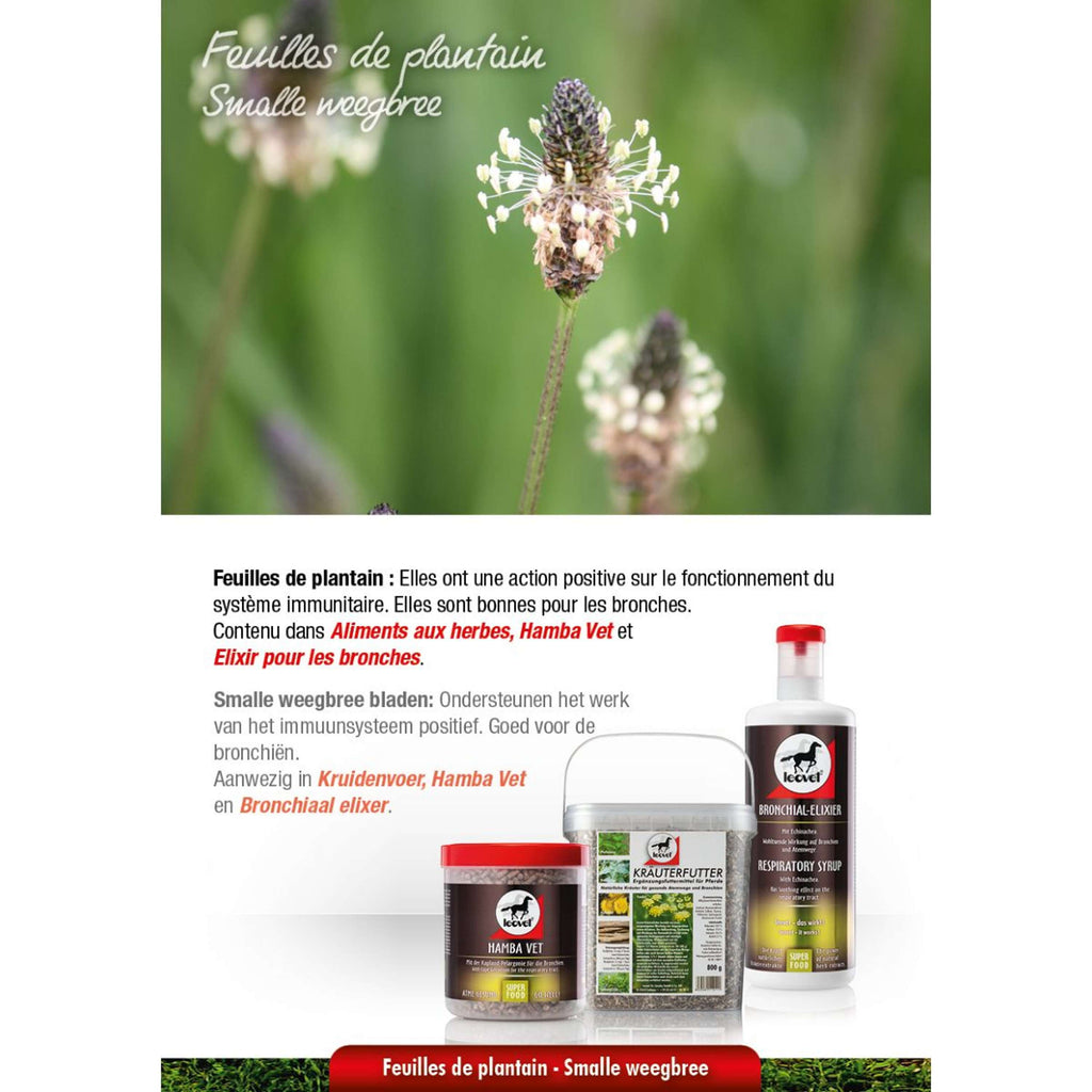 Leovet Bronchiaal elixer