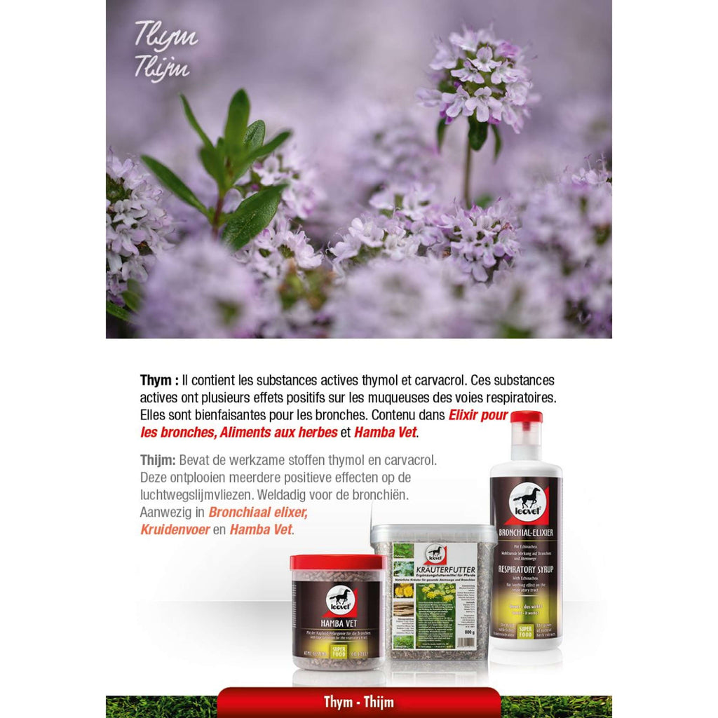 Leovet Bronchiaal elixer