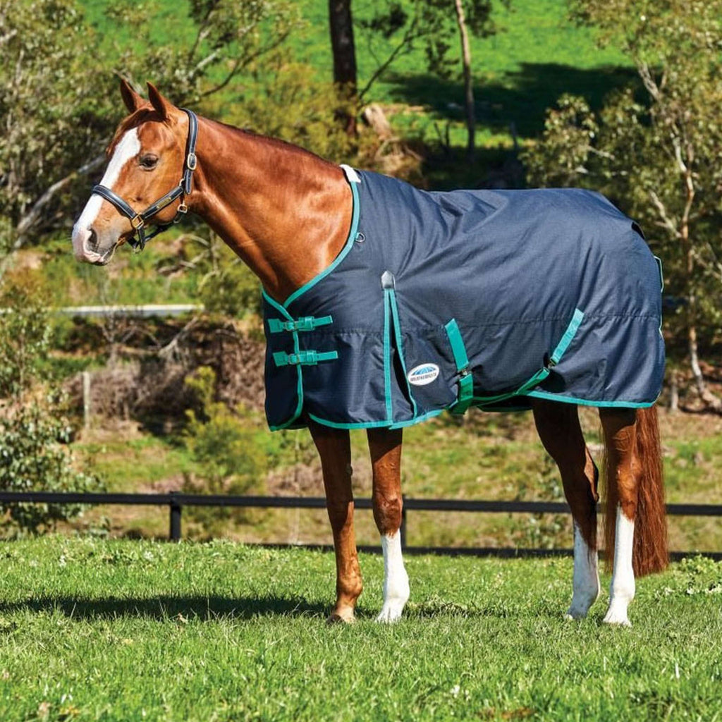 Weatherbeeta Comfitec Classic Standard Neck Medium 220g Zwart/Groen
